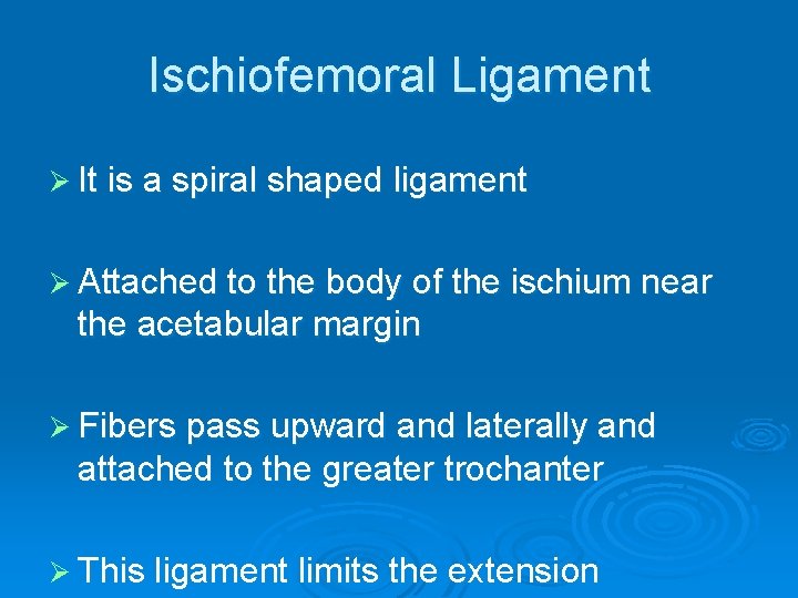 Ischiofemoral Ligament Ø It is a spiral shaped ligament Ø Attached to the body