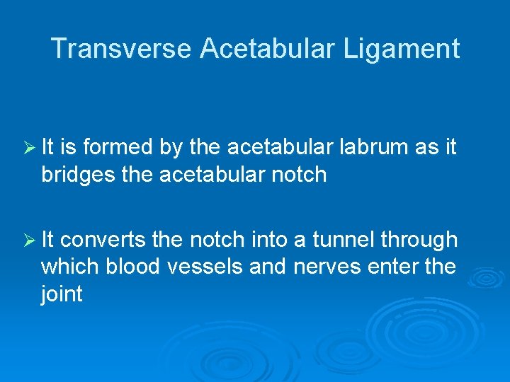 Transverse Acetabular Ligament Ø It is formed by the acetabular labrum as it bridges