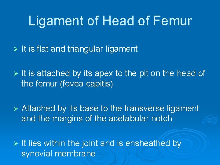 Ligament of Head of Femur Ø It is flat and triangular ligament Ø It