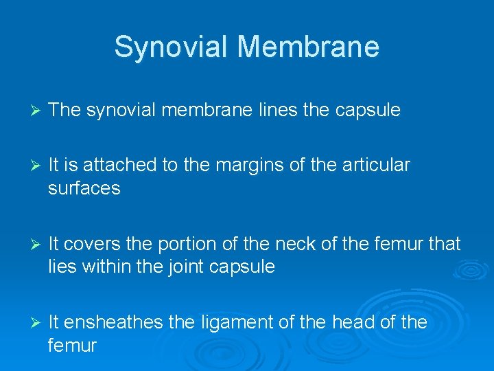 Synovial Membrane Ø The synovial membrane lines the capsule Ø It is attached to