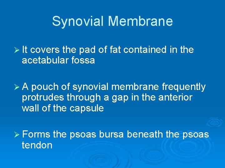 Synovial Membrane Ø It covers the pad of fat contained in the acetabular fossa