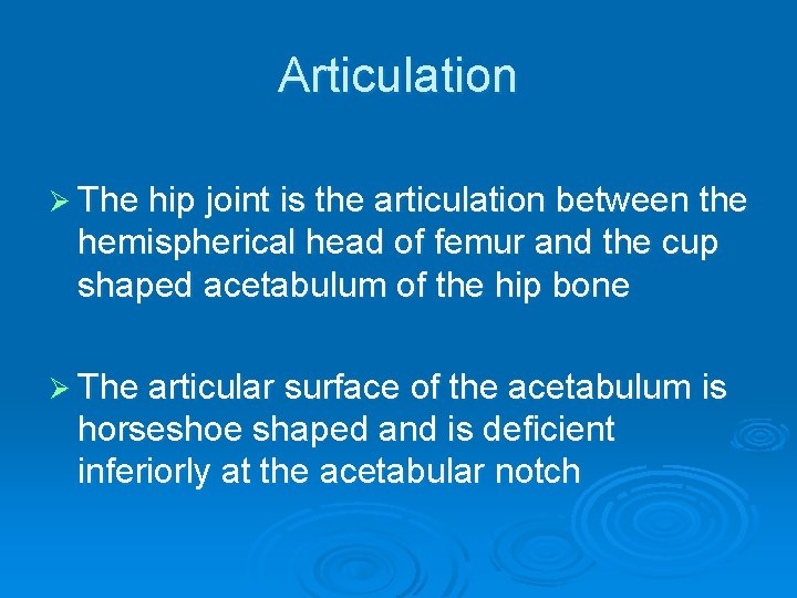 Articulation Ø The hip joint is the articulation between the hemispherical head of femur