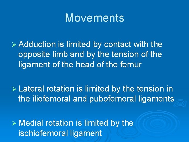 Movements Ø Adduction is limited by contact with the opposite limb and by the