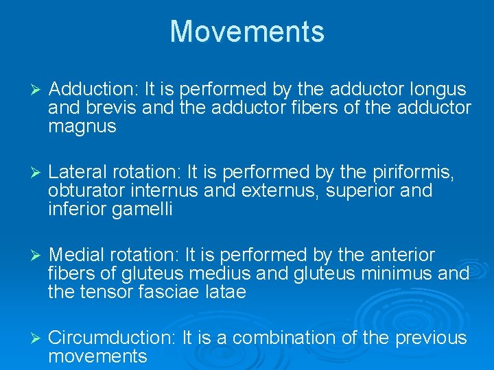 Movements Ø Adduction: It is performed by the adductor longus and brevis and the