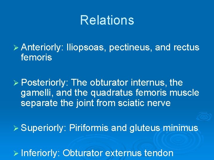 Relations Ø Anteriorly: Iliopsoas, pectineus, and rectus femoris Ø Posteriorly: The obturator internus, the