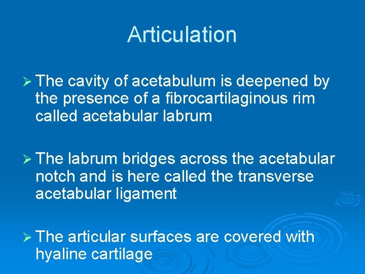 Articulation Ø The cavity of acetabulum is deepened by the presence of a fibrocartilaginous