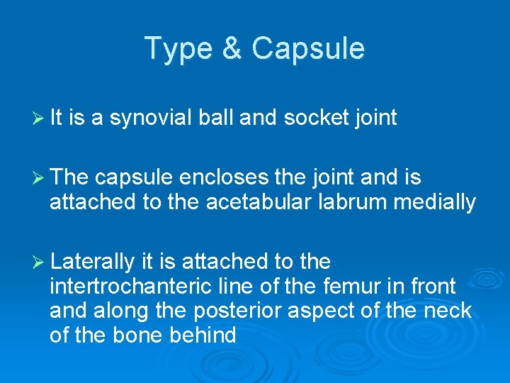 Type & Capsule Ø It is a synovial ball and socket joint Ø The