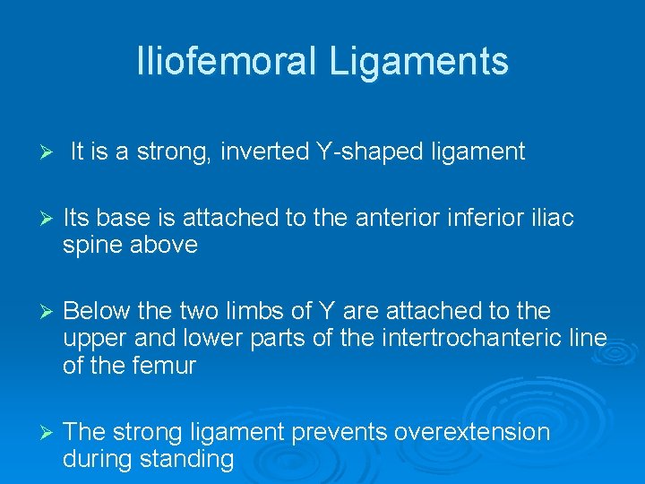 Iliofemoral Ligaments Ø It is a strong, inverted Y-shaped ligament Ø Its base is