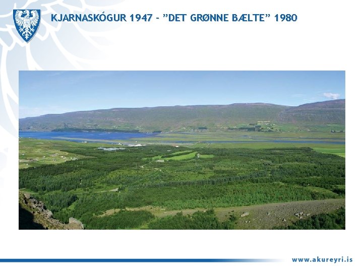 KJARNASKÓGUR 1947 - ”DET GRØNNE BÆLTE” 1980 