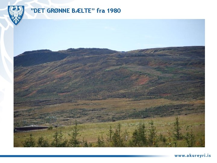 ”DET GRØNNE BÆLTE” fra 1980 