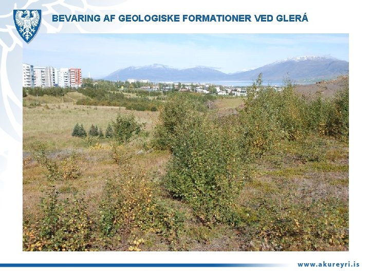 BEVARING AF GEOLOGISKE FORMATIONER VED GLERÁ 