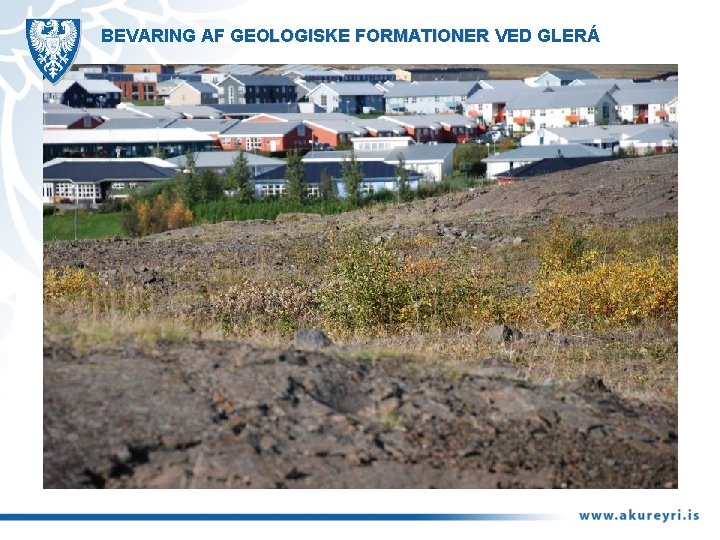 BEVARING AF GEOLOGISKE FORMATIONER VED GLERÁ 