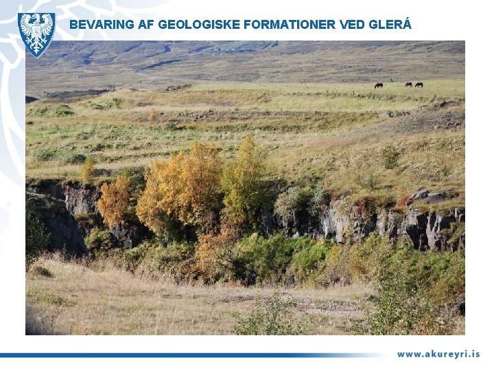 BEVARING AF GEOLOGISKE FORMATIONER VED GLERÁ 