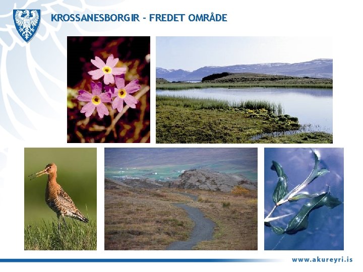 KROSSANESBORGIR – FREDET OMRÅDE 