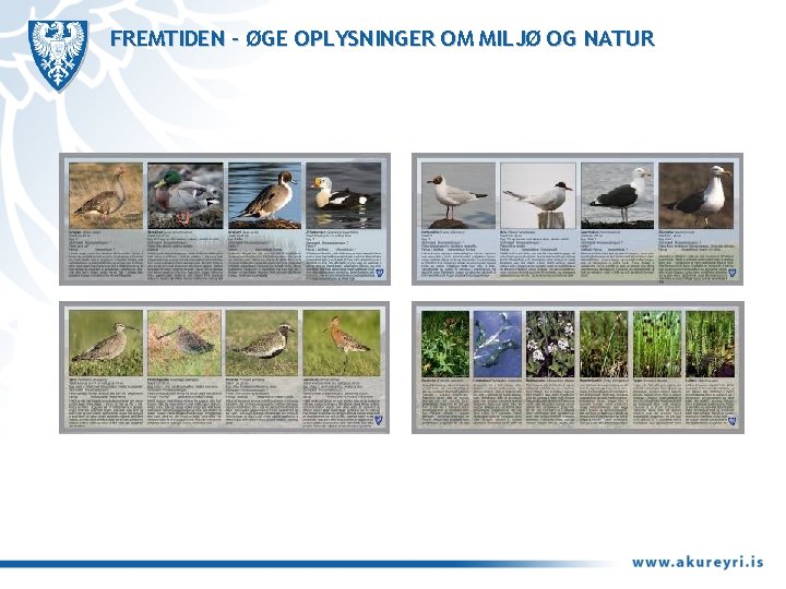 FREMTIDEN – ØGE OPLYSNINGER OM MILJØ OG NATUR 