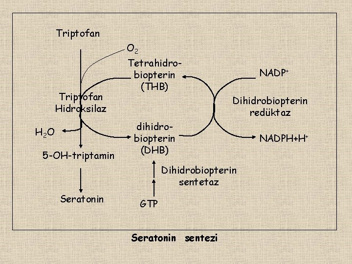 Triptofan O 2 Triptofan Hidroksilaz H 2 O 5 -OH-triptamin Tetrahidrobiopterin (THB) NADP+ Dihidrobiopterin