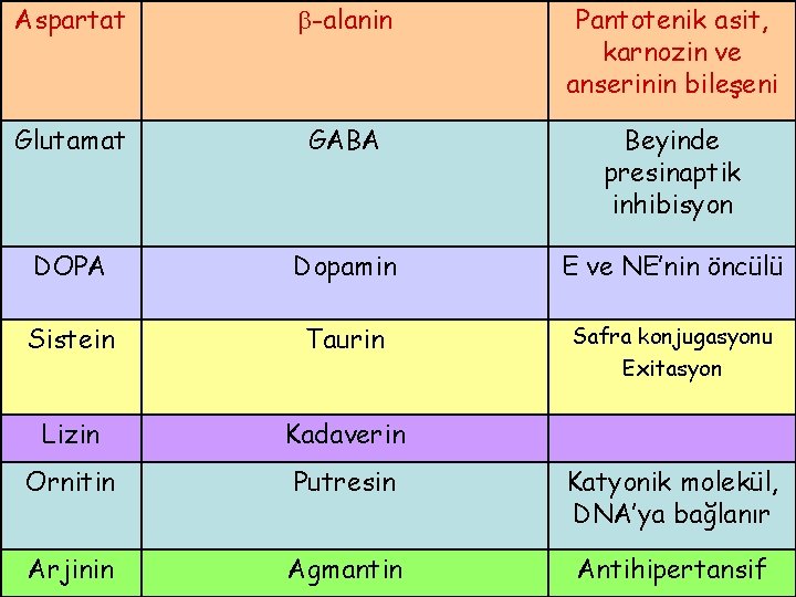 Aspartat -alanin Pantotenik asit, karnozin ve anserinin bileşeni Glutamat GABA Beyinde presinaptik inhibisyon DOPA