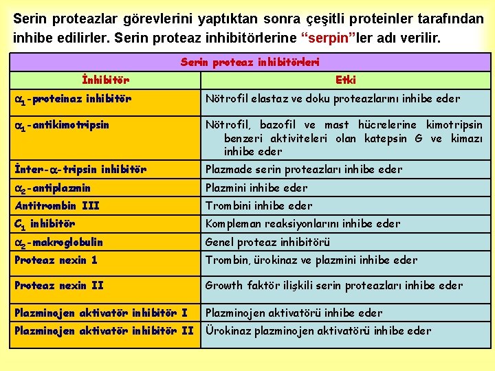 Serin proteazlar görevlerini yaptıktan sonra çeşitli proteinler tarafından inhibe edilirler. Serin proteaz inhibitörlerine “serpin”ler