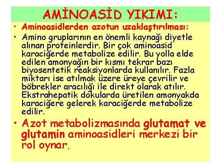 AMİNOASİD YIKIMI: • Aminoasidlerden azotun uzaklaştırılması: • Amino gruplarının en önemli kaynağı diyetle alınan