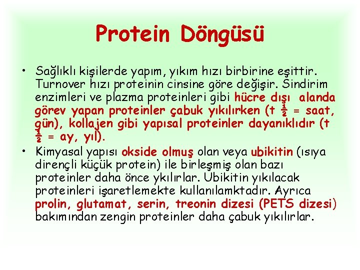 Protein Döngüsü • Sağlıklı kişilerde yapım, yıkım hızı birbirine eşittir. Turnover hızı proteinin cinsine