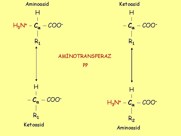 Ketoasid Aminoasid H H 3 N + C H COO- C R 1 COO-