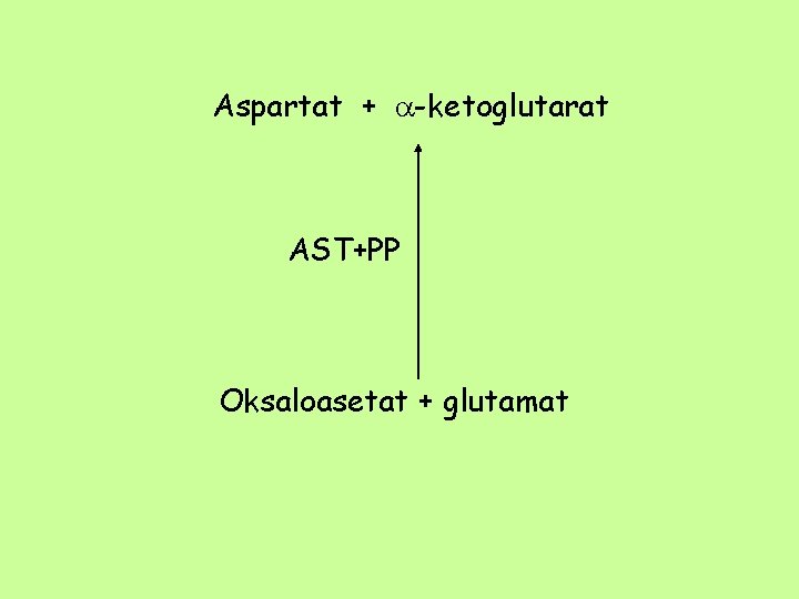 Aspartat + -ketoglutarat AST+PP Oksaloasetat + glutamat 