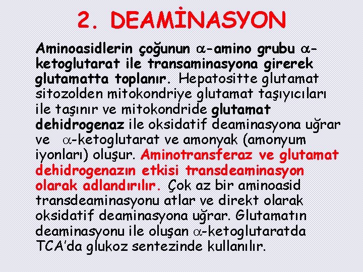 2. DEAMİNASYON Aminoasidlerin çoğunun -amino grubu ketoglutarat ile transaminasyona girerek glutamatta toplanır. Hepatositte glutamat