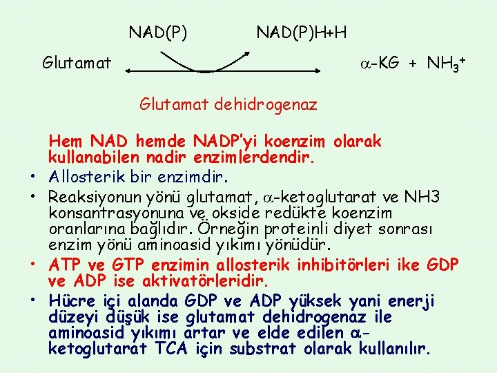 NAD(P)H+H Glutamat -KG + NH 3+ Glutamat dehidrogenaz • • Hem NAD hemde NADP’yi