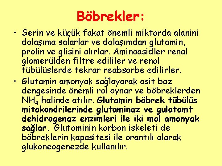 Böbrekler: • Serin ve küçük fakat önemli miktarda alanini dolaşıma salarlar ve dolaşımdan glutamin,