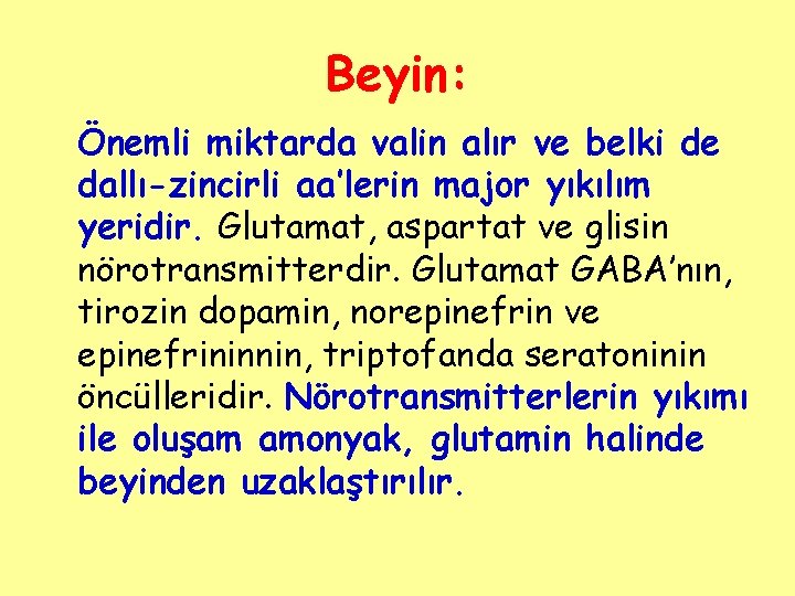 Beyin: Önemli miktarda valin alır ve belki de dallı-zincirli aa’lerin major yıkılım yeridir. Glutamat,