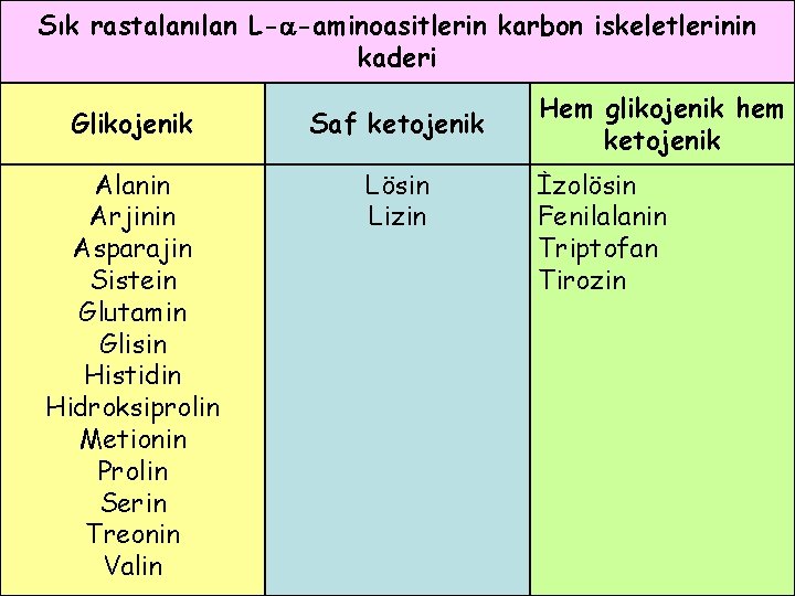 Sık rastalanılan L- -aminoasitlerin karbon iskeletlerinin kaderi Glikojenik Saf ketojenik Alanin Arjinin Asparajin Sistein