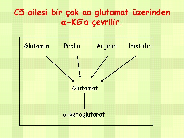 C 5 ailesi bir çok aa glutamat üzerinden -KG’a çevrilir. Glutamin Prolin Arjinin Glutamat