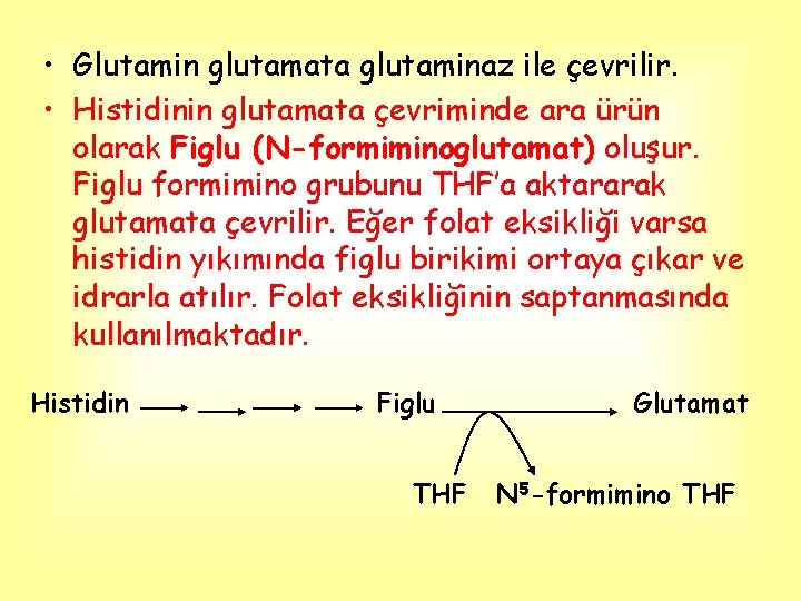  • Glutamin glutamata glutaminaz ile çevrilir. • Histidinin glutamata çevriminde ara ürün olarak