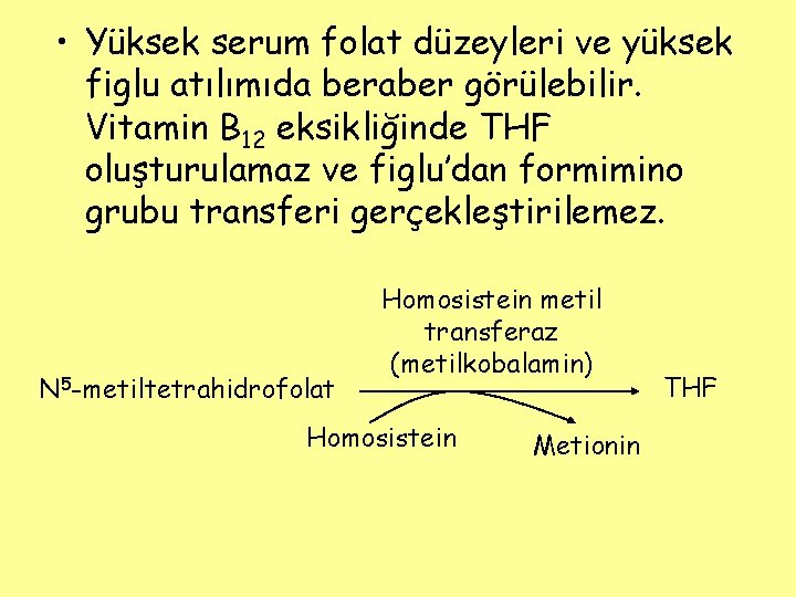  • Yüksek serum folat düzeyleri ve yüksek figlu atılımıda beraber görülebilir. Vitamin B