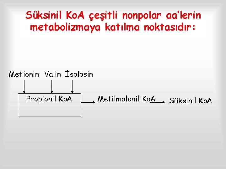 Süksinil Ko. A çeşitli nonpolar aa’lerin metabolizmaya katılma noktasıdır: Metionin Valin İsolösin Propionil Ko.