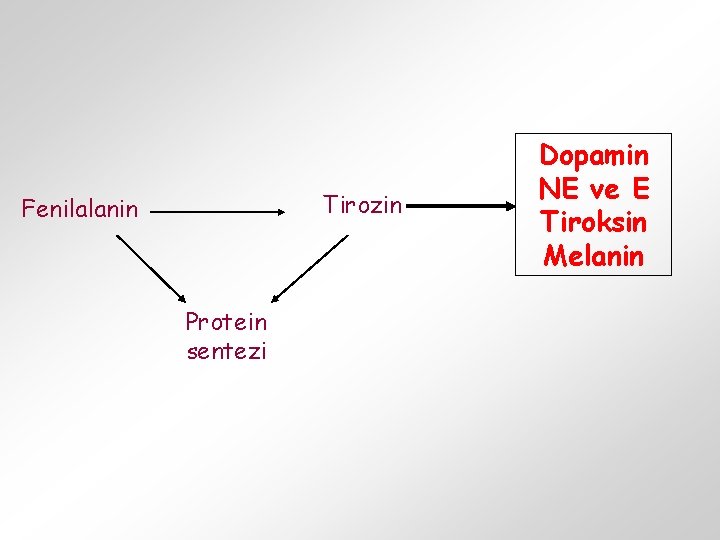 Tirozin Fenilalanin Protein sentezi Dopamin NE ve E Tiroksin Melanin 