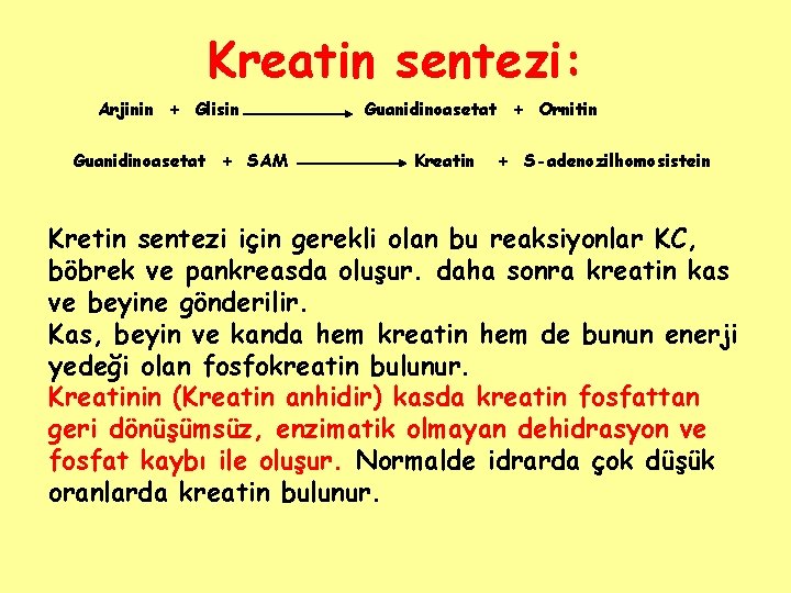 Kreatin sentezi: Arjinin + Glisin Guanidinoasetat + SAM Guanidinoasetat + Ornitin Kreatin + S-adenozilhomosistein