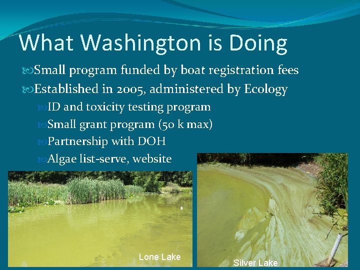 What Washington is Doing Small program funded by boat registration fees Established in 2005,