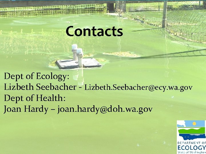 Contacts Dept of Ecology: Lizbeth Seebacher - Lizbeth. Seebacher@ecy. wa. gov Dept of Health: