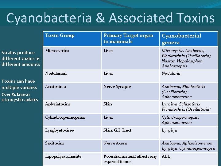 Cyanobacteria & Associated Toxins Strains produce different toxins at different amounts Toxins can have