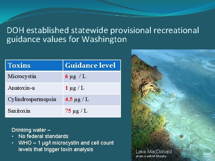 DOH established statewide provisional recreational guidance values for Washington Toxins Guidance level Microcystin 6