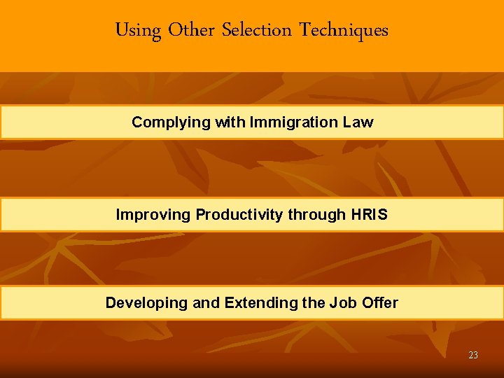 Using Other Selection Techniques Complying with Immigration Law Improving Productivity through HRIS Developing and Using Other Selection Techniques Complying with Immigration Law Improving Productivity through HRIS Developing and