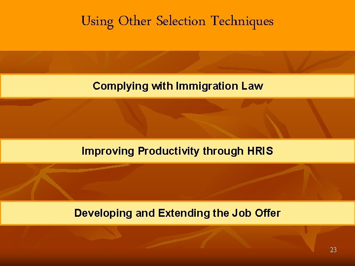 Using Other Selection Techniques Complying with Immigration Law Improving Productivity through HRIS Developing and