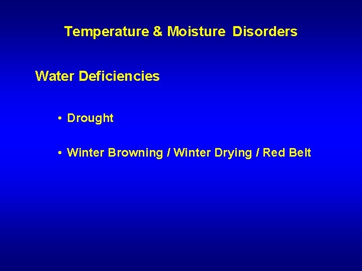 Temperature & Moisture Disorders Water Deficiencies • Drought • Winter Browning / Winter Drying