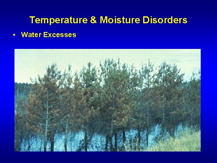 Temperature & Moisture Disorders • Water Excesses 