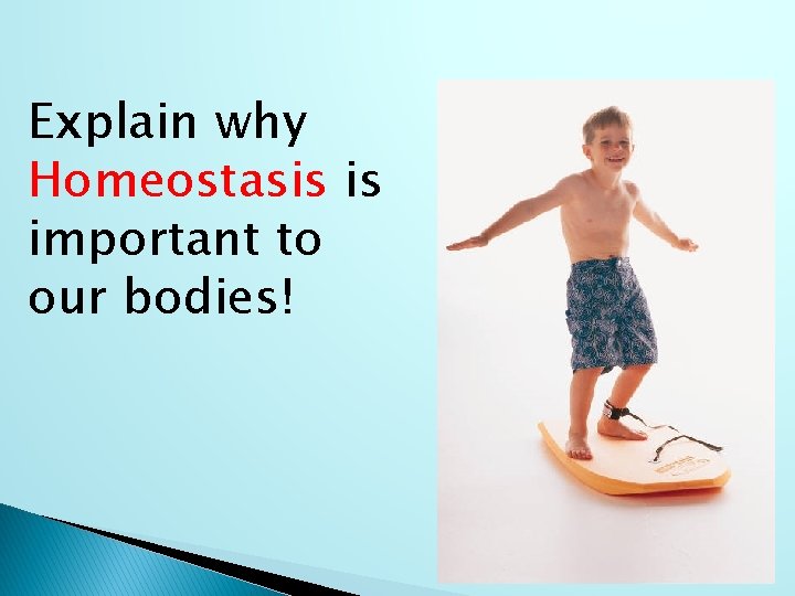 Explain why Homeostasis is important to our bodies! 
