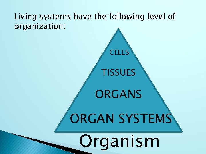 Living systems have the following level of organization: CELLS TISSUES ORGAN SYSTEMS Organism 