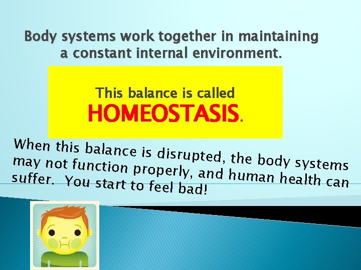 Body systems work together in maintaining a constant internal environment. This balance is called