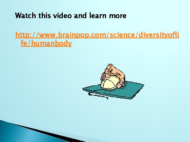 Watch this video and learn more http: //www. brainpop. com/science/diversityofli fe/humanbody 