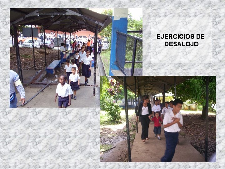 EJERCICIOS DE DESALOJO 